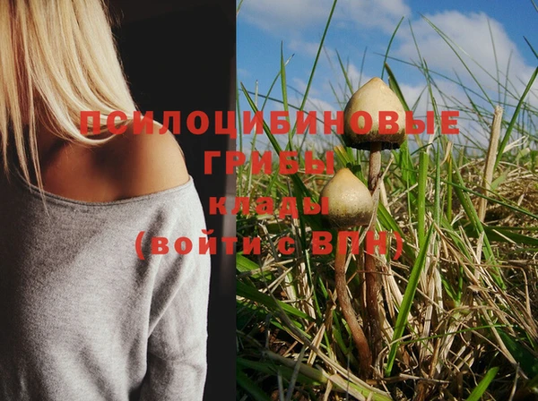 соль курить ск Сафоново