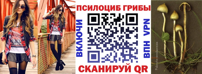 Псилоцибиновые грибы Psilocybine cubensis  Купить  Южноуральск 