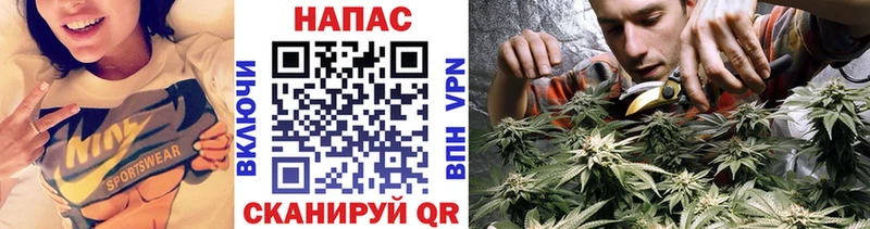 Купить закладки  Южноуральск  Бошки Шишки план 